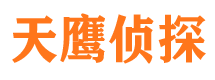 武陵侦探公司